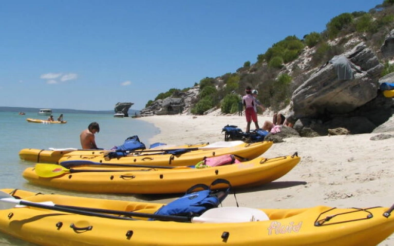 Schaapen Island Paddle Tour Adventure