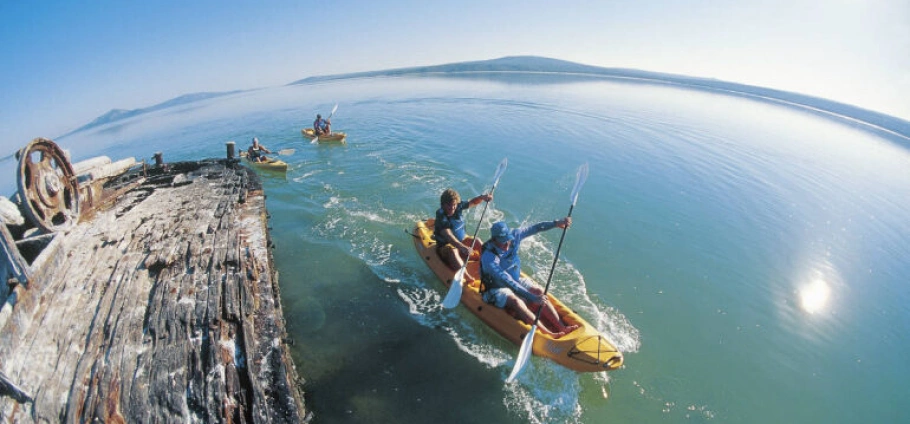 Schaapen Island Paddle Tour Adventure-3