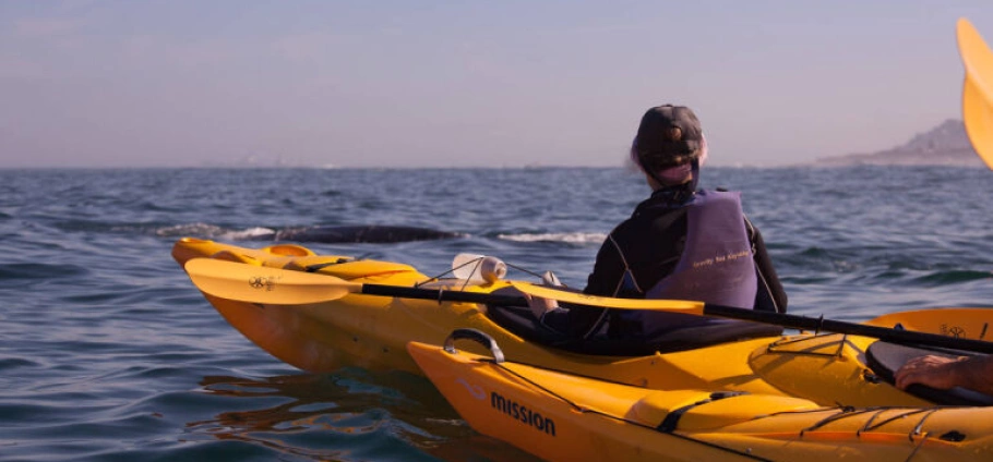 Cape Town Scenic Kayak Adventure-3