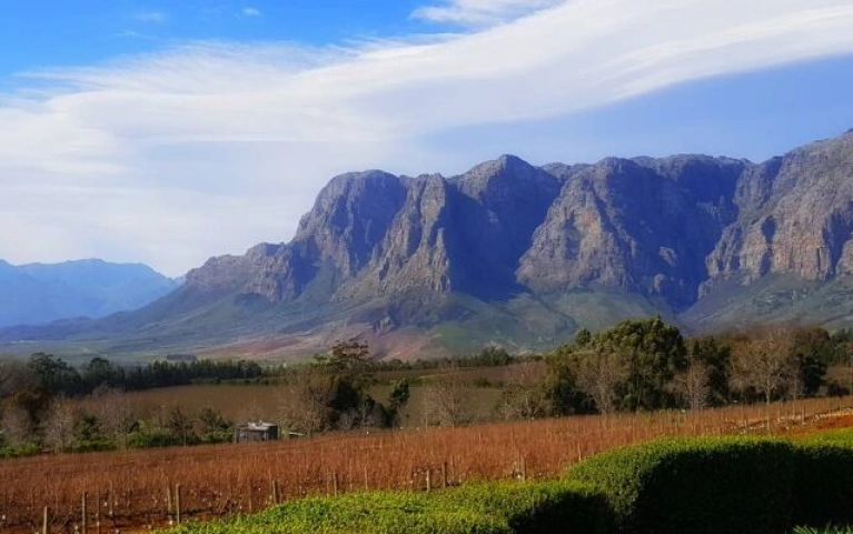 Stellenbosch Private Wine Tour Experience