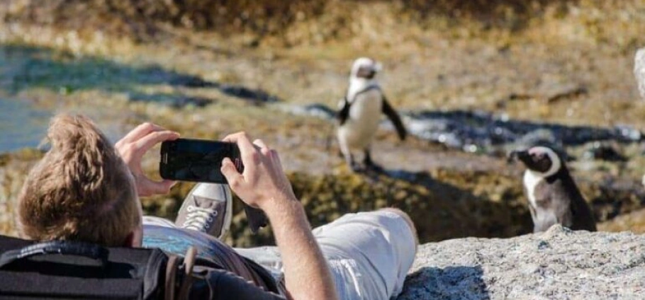 Cape Town Private Landmarks Tour Experience-9