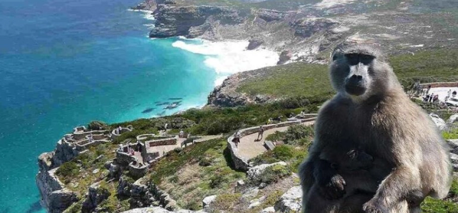 Cape Town Private Landmarks Tour Experience-8